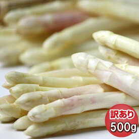 アスアパラガス ホワイトアスパラ　北海道　富良野産　訳あり　500g　送料無料