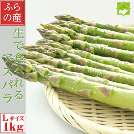 生で食べれるアスパラ 北海道ふらの産 Lサイズ以上 1kg 送料無料