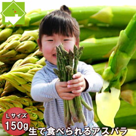 生で食べれる アスパラ 北海道 富良野産 グリーン Lサイズ 150g 送料無料 別途送料が発生する地域あり
