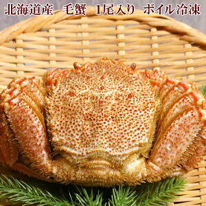 毛ガニ お歳暮 北海道産 毛蟹 400g以上 1尾入り 送料無料