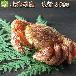 浜茹で冷凍 北海道産 毛蟹 800g(1〜2尾)
