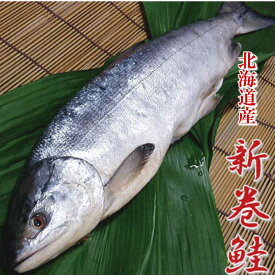 北海道産 新巻鮭 1匹 約1.5kg 送料無料 別途送料が発生する地域あり