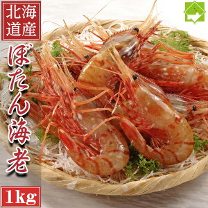 hgp kCY  {^Gr 1kg ڂ񂦂 OCV CV Gr  CN {^CV  ⓀGr Ⓚ p O 蕨  pI Mtg v[g@ʓr