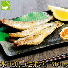 こまい 一夜干し 生干し 北海道産 500g 送料無料 氷下魚(こまい) 別途送料が発生する地域あり 冷凍 冷凍保存 塩 半冷凍焼き 焼くだけ おつまみ 居酒屋定番 焼き魚 背開き ほぐし身 お取り寄せ ギフト 準備簡単 保存食品 家飲み 酒の肴 惣菜 お弁当