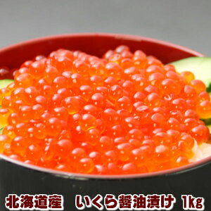 ݖЂ  1kg@i500g×2j kCY Y 嗱 Ε