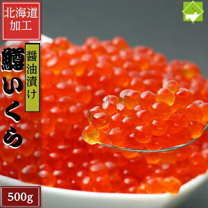 ɏ̖  ݖЂ 500g   t 傤 CN ӂ邳Ƃ̖ CN CY Mtg   CN  hV̓ Ε ʓrn悠