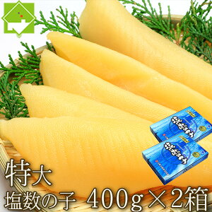 ̎q   ̎q 800g(400g×2) Ε  MtgΉ\ ʓrn悠