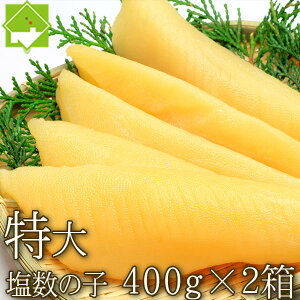 ̎q ̂   ̎q@800g i400g×2j Ε MtgΉ\