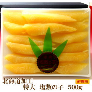 ̎q kCH ̎q 500g Ε MtgΉ\