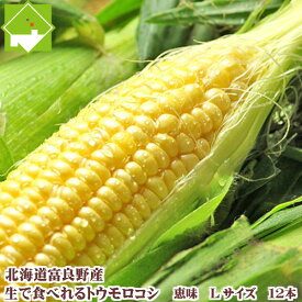 【生】で食べれるトウモロコシ　北海道富良野産 　恵味【 Lサイズ12本入り】　送料無料
