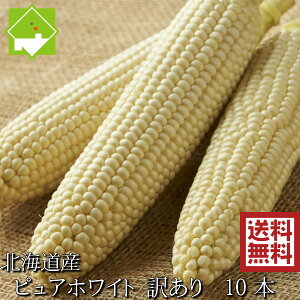 Ƃ낱@kCxǖY@󂠂@sAzCg@10{@@yƖpz