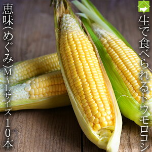 Ƃ낱 kC xǖY ŐHׂ@b 󂠂 MLTCY 10{@ꕔ̒n 