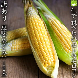 【生】で食べれるトウモロコシ 北海道 富良野産 訳あり　恵味　Mサイズ 10本入り 送料無料