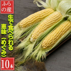 生で食べるとうもろこし 北海道富良野産 フルーツ トウモロコシ 恵味 2Lサイズ10本入り 送料無料 別途送料が発生する地域あり　産地直送 フルーツ感覚　とうきび