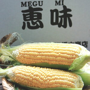 ŐHׂt[cgERV@kCY @b@M2LTCY݁@10{@@ʓr̂n悠