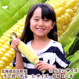 生で食べれるトウモロコシ　北海道富良野産 恵味　Lサイズ 12本入り　送料無料