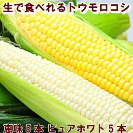 とうもろこし　送料無料　北海道富良野産　2色入り　ピュアホワイト5本・恵味5本　 7月中旬から8月25日着