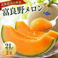 お中元対応 ふらのメロン 北海道 富良野産 2Lサイズ 2玉 送料無料 別途送料の発生する地域あり フルーツ …