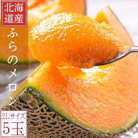 早採り ふらのメロン 北海道富良野産　赤肉メロン 2Lサイズ　5玉 送料無料 5月下旬から6月上旬発送開始 夏ギフト 御中元 暑中見舞い 残暑見舞い ギフト 贈り物 お祝い お礼 お返し お盆 お供え お供え物 果物 フルーツ 北海道 送料無料 お取り寄せ