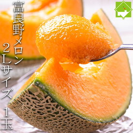ふらのメロン 北海道富良野産　赤肉メロン 2Lサイズ 1玉 送料無料 お中元 ギフト 日時指定不可　別途送料が発生する地域あり 正規品 産地直送 産直 プレゼント ご家庭用 めろん