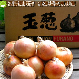 玉ねぎ　送料無料　北海道富良野産　低農薬であま〜い　玉葱　4.5kg