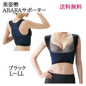 ۂ肨 Lw΍ ubN LLL w pABARAT|[^[ ubN L`LL x ^s ؗ͒ቺ b ΂ ] p ␮ T|[^[ T|[g C_C