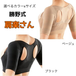 IׂJ[&TCY  Lw T|[^[ w 쎮 y xp  ␮ |   y Sn b C_C