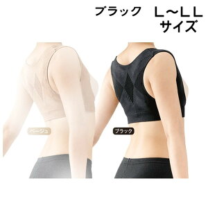w 쎮 邾Ŕp ubN L`LL x p T|[^[ p w Lw  T|[^[ C_C
