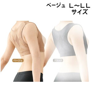 w 쎮 邾Ŕp x[W L`LL x p T|[^[ p w Lw  T|[^[ C_C