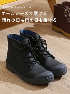 CV[Y Y fB[X Xj[J[ JWA  JC C h Xb| V[g Cu[c CV[Y JWAV[Y 傫TCY I[V[Y 