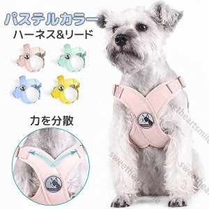 Sy n[lX ^ ^ V  [ht p  [hZbg IV  Ȃ ߕtȂ i߂Ȃ pXeJ[ U o y K ȒP `