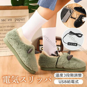 dCXbp USB dC  Xbp  3bg g _炩  ̗₦΍ g[@ q[^[ ȃGl ƒ Ep