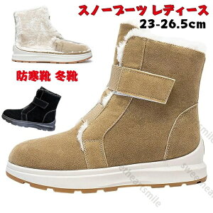 Xm[u[c fB[X kC 傫TCY h h Xm[V[Y Ȃ  hC ~C AEghA ʊw  y C 4e N g 킢 oR EB^[u[c 