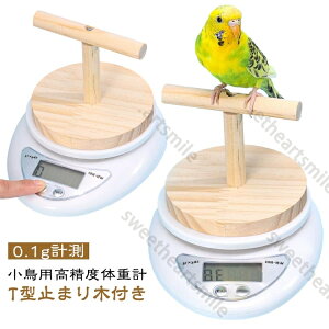  x̏dv p CR 0.1gv p ZLZC u`E ̑̏dv NǗ T^~܂ؕt ybg fW^̏dv ЂȒ vpvʊ ̑̏dǗ fW^XP