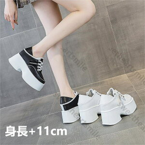  Xj[J[ T_ {vT_ fB[X _bhV[Y   Ȃ C T_ fB[X r r[`T_ q[11cm gAbv  r JW