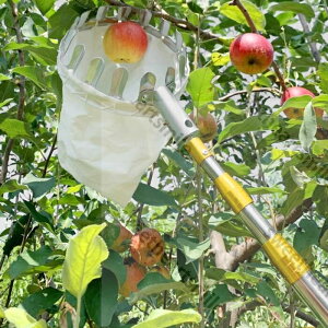 t[csbJ[ 2.5-6M ʎsbJ[ XeX |pi |H ʕE n ʕ } ʕ ʎ Lk  ֗  蓮 p