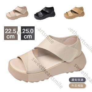 gȌT_ fB[X T_ 5cmq[ Od lԍHw Be[WX^C yʐ݌v ~ r ʋCK L ʋC EH[LOV[Y bvAE