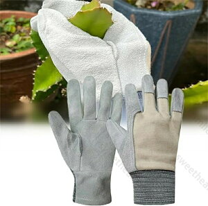 |p v K[fO[u op ϐh gQh~ hȂ v ~ ʋC _ d  op Ɨp K[fjOpi