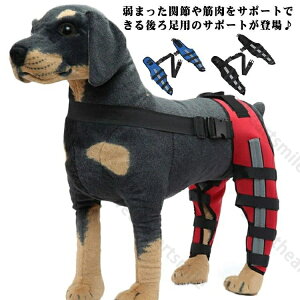 yz EZbg Œ yA 㑫֐ߕی T|[^[ G p 둫 ֐߃veN^[ p  T|[^[ G ֐߃veN^[ p