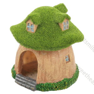 �������� �����ق̓��A�̑��� �Ϗ܋��̃V�F���^�[ �����ق̑����̉� �L�m�R�����n�E�X ���̉B��� �L�m�R�̐����̏��� �����A�N�Z�T���[ �����̋��̔� �����̓��A ���̓��A �x�^