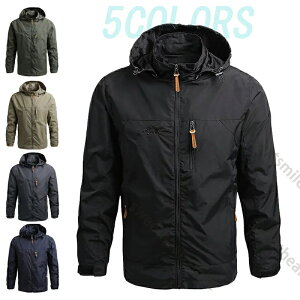 pW}  Y [EFA ~ v[g  [EFA iCgKE KE Q jqp OJ N  ؍  v[g g  