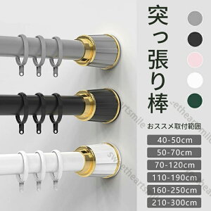 J[eOt˂_  S5F 6TCY Lk_ 40-50cm ~ 210-300cm ς_ sv nK[bN  J[e ̂ق hsv  󕨊  O 