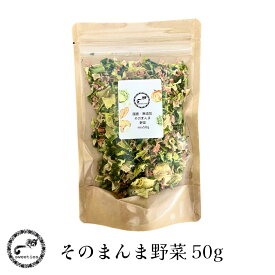 国産 無添加 そのまんま野菜mix 50g ブドウ糖不使用の完全無添加 小動物 小鳥 フクロモモンガ ハムスター チンチラ デグー うさぎ モルモット インコ フード おやつ