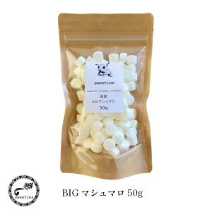 }V} zCg BIGTCY 50g   t[h tNK K nX^[ nlY~ tFbg sweeties  Y  t[h䂤pPbgOK