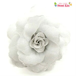  RT[W A O[ (1R) |  fB[X l  񎟉 n[tAbv TCh hX a tH[}  GKg p[eB[ 傫 gg p[eB[ 