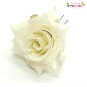 ΂ Us  (1R) | zCg bh sN t[  o@KN wAs fB[X l LbY q ߔ Ղ   l Ǝ   ܎O   