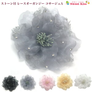 Xg[t [XI[KW[ RT[W A (1R) | ubN O[ zCg x[W sN fB[X l 񎟉   tH[}  w l Ǝ Ӊ  