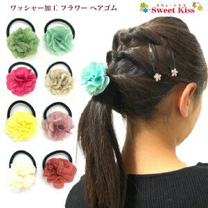 bV[ H t[ wAS (1R) | wAANZT[ {{S  ̎q q ǂ KIDS LbY w ct ۈ牀 ʉ ʊw o 킢  KHGW Si 