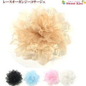 [XI[KW[ RT[W (1R) |  fB[X l  񎟉 n[tAbv TCh hX a tH[}  GKg p[eB[ 傫 gg p[eB