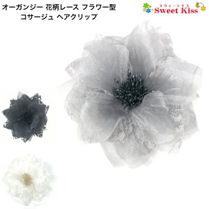 I[KW[ ԕ[X t[^ RT[W wANbv(1R) | ߁@ubN  @zCg@O[@@Ǝ@@w@tH[} @ X[c S